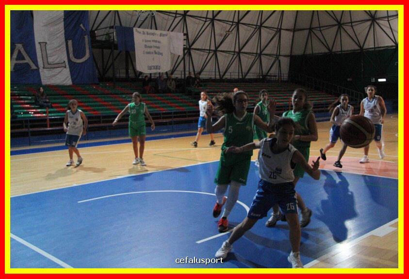181126 Basket_Femm 035_tn.JPG